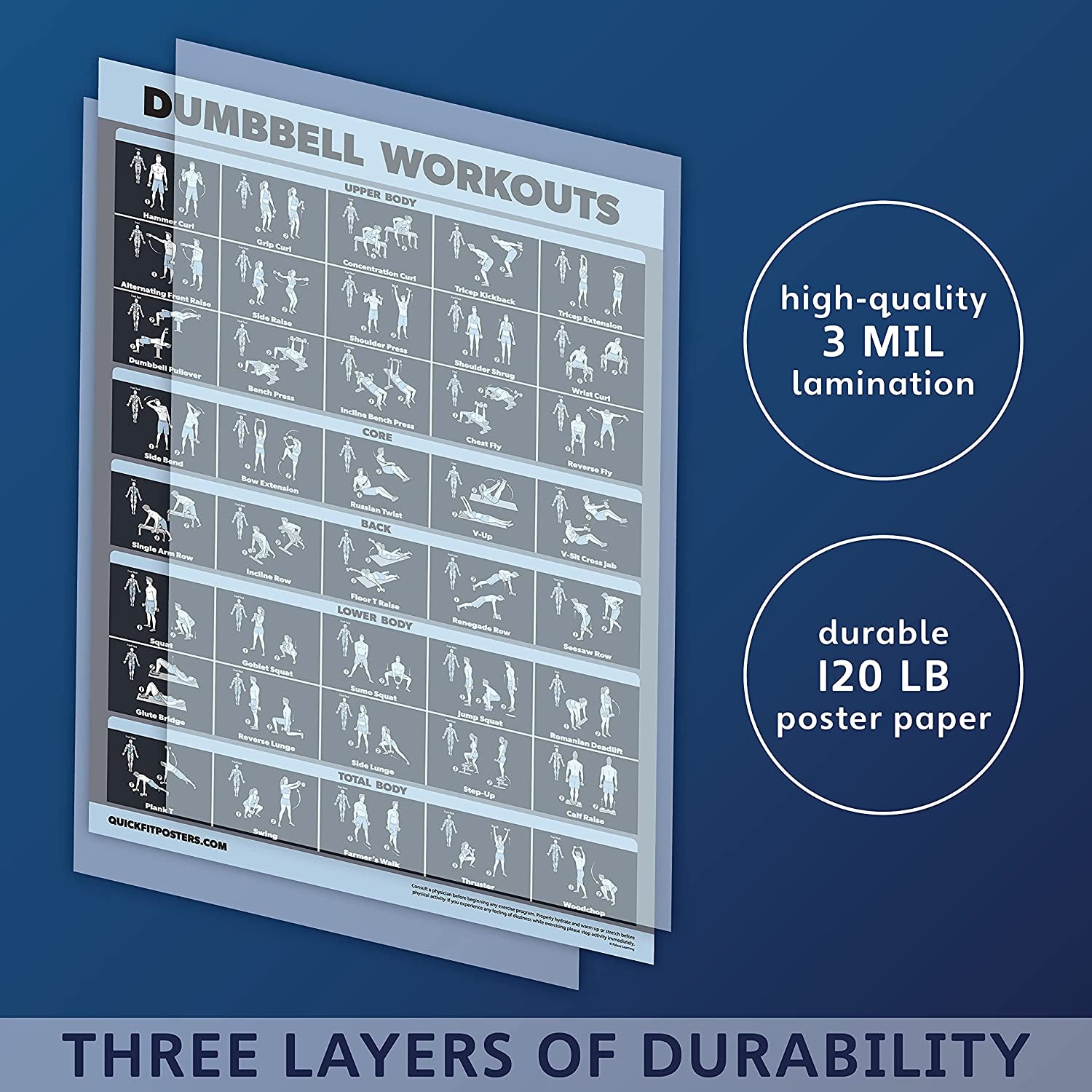 Dumbbell Workout Exercise Poster [Dark] Dumbbell Poster, Workout Poster